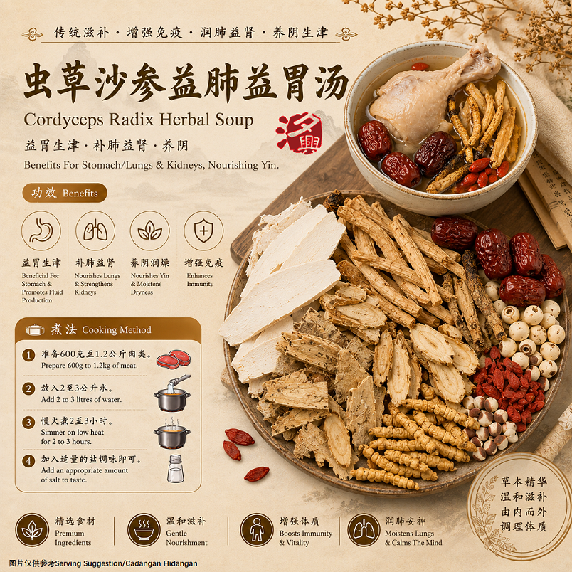 虫草沙参益肺益胃汤