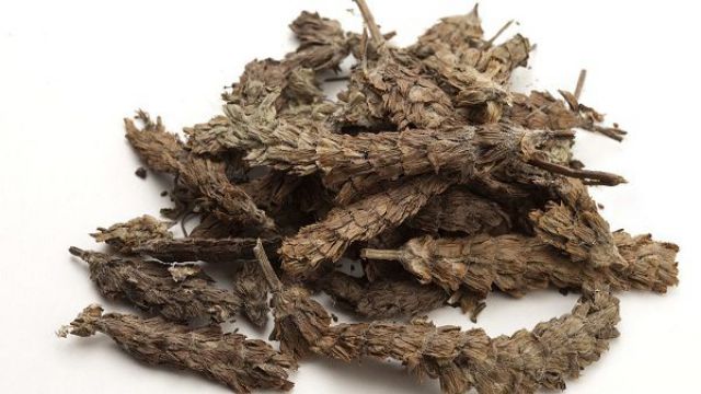 夏枯草